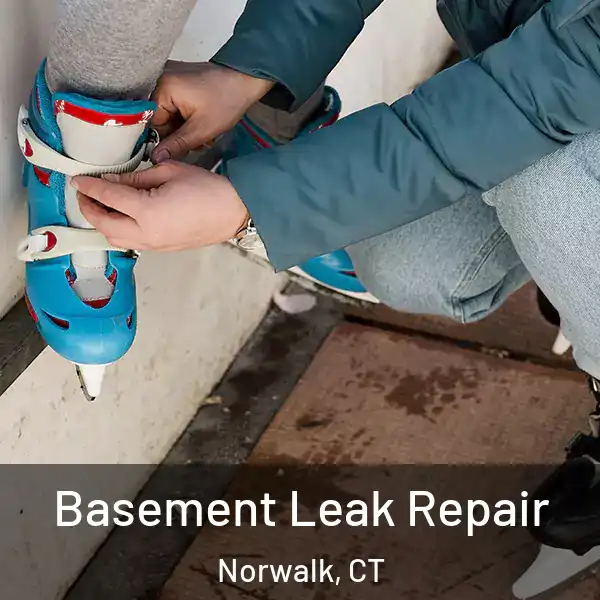  Basement Leak Repair Norwalk, CT