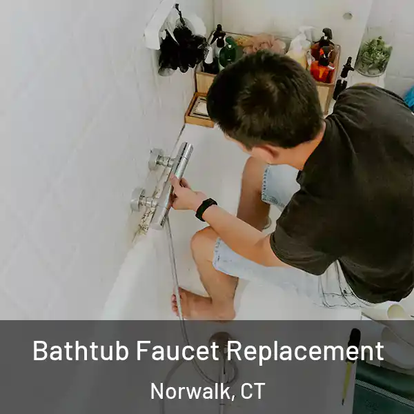  Bathtub Faucet Replacement Norwalk, CT