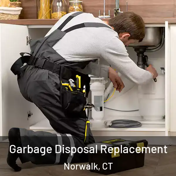  Garbage Disposal Replacement Norwalk, CT