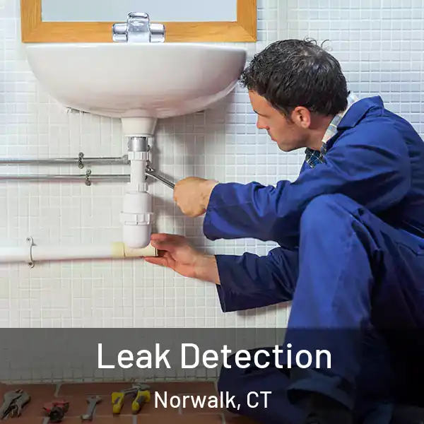  Leak Detection Norwalk, CT