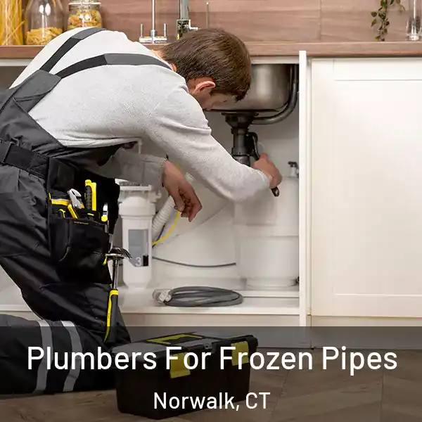  Plumbers For Frozen Pipes Norwalk, CT