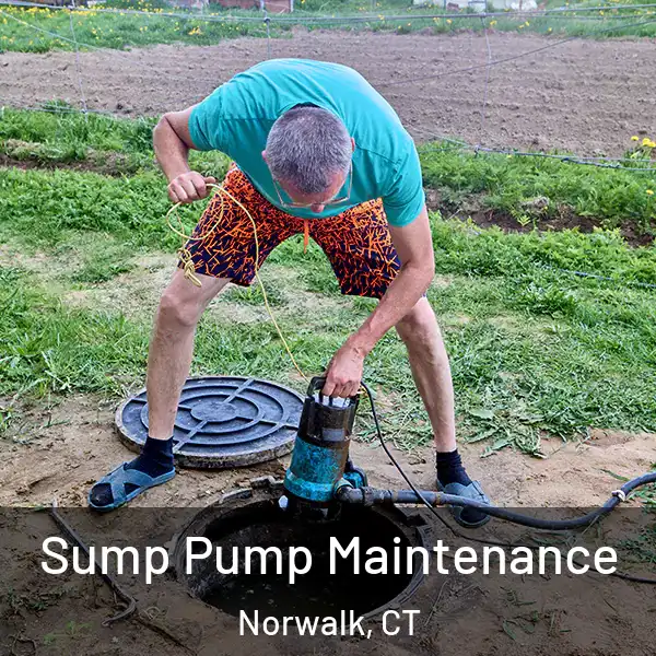  Sump Pump Maintenance Norwalk, CT