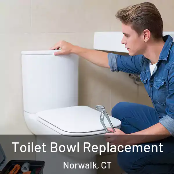  Toilet Bowl Replacement Norwalk, CT