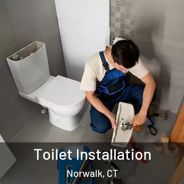  Toilet Installation Norwalk, CT