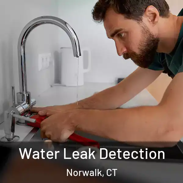  Water Leak Detection Norwalk, CT
