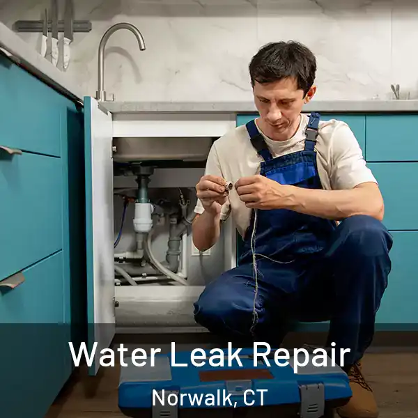  Water Leak Repair Norwalk, CT